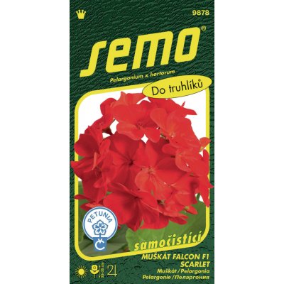 Pelargonie páskatá - Falcon F1 Scarlet 9s – Sleviste.cz
