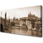 Obraz na plátně Praha Most Krajina 100x50 cm – Zbozi.Blesk.cz
