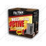 Fitmax Mass Active 5000 g – Hledejceny.cz