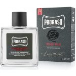 Proraso balzám na vousy 100 ml – Zbozi.Blesk.cz