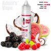 Příchuť pro míchání e-liquidu Adam´s Vape Shake & Vape Berry Fruit 12 ml