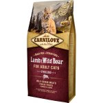 Carnilove Lamb & Wild Boar for Adult Cats Sterilised 2 x 6 kg – Hledejceny.cz