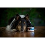 Marp Holistic - Žraločí chrupavka 100 g – Hledejceny.cz