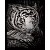 Škrábací  obrázek Royal & Langnickel Stříbrný škrabací obrázek Číhající tygr