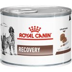 Royal Canin Veterinary Diet Cat & Dog Recovery 195 g – Zboží Mobilmania