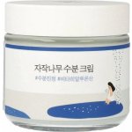 Round Lab Birch Juice Moisturizing Cream s březovou šťávou 80 ml – Zbozi.Blesk.cz