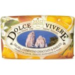 Nesti Dante Dolce Vivere mýdlo Capri 250 g – Zbozi.Blesk.cz