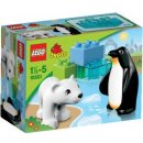 LEGO® DUPLO® 10501 Zoo kamarádi