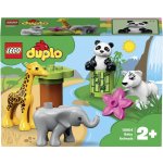 LEGO® DUPLO® 10904 Zvířecí mláďátka – Hledejceny.cz