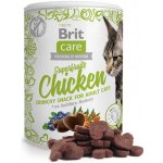 Brit Care Cat Snack Superfruits Chicken 100 g – Zboží Mobilmania