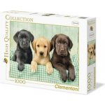 Clementoni Tři labradoři HQC 1000 dílků – Zboží Dáma