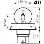 NARVA R2 12V 45/40W 49211 – Hledejceny.cz