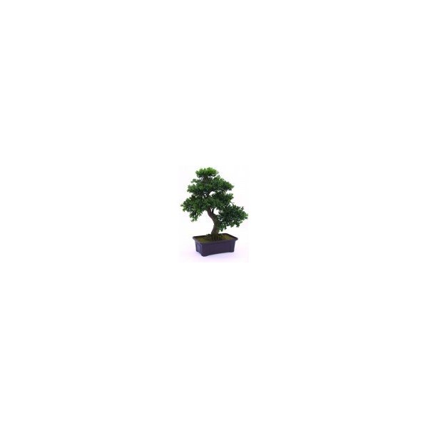 Květina Bonsai buš v truhlíku