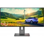 Lenovo ThinkVision P34wd-40 – Zboží Živě