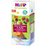 HiPP BIO Nápoj Jemné jablko a ovoce s neperlivou pramenitou vodou 200 ml – Zboží Dáma