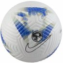 Fotbalový míč Nike PL NK ACADEMY