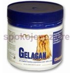 Orling - Gelacan Champion psi barevná plemena 150 g – Hledejceny.cz