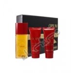 Yves Saint Laurent Opium 2009 toaletní voda dámská 50 ml – Sleviste.cz