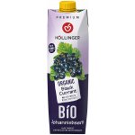 Hollinger Bio džus černý rybíz 1 l – Zbozi.Blesk.cz