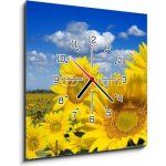 Obraz s hodinami 1D - 50 x 50 cm - Some yellow sunflowers against a wide field and the blue sky Některé žluté slunečnice proti širokému poli a modré obloze