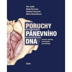 Poruchy pánevního dna - Petr Anděl