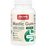 Jarrow Formulas Mastic Gum masticha 500 mg 120 rostlinných kapslí – Hledejceny.cz