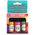Altevita Set olejů Imunita a Nachlazení 3 x 10 ml + usb difuzér 2GO – Hledejceny.cz