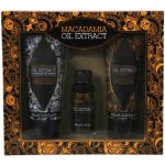 Xpel Macadamia Oil Extract šampon 100 ml + kondicionér 100 ml + Hair Treatment 30 ml dárková sada – Zbozi.Blesk.cz
