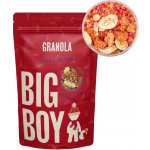 Big Boy Proteinová granola s bílou čokoládou a ovocem 360 g – Sleviste.cz
