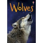 James Maclaine - Wolves – Zboží Dáma