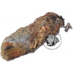 Bracco Dummy Aport Bažant s peřím Standard 250 g – Hledejceny.cz