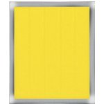 Thermal Grizzly Kapton Insulation Sheet 10 x 60 mm 50 ks TG-KIS-10-60-50 – Zboží Živě