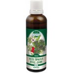 Naděje Habr tinktura z pupenů 50 ml – Hledejceny.cz
