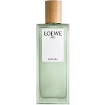 Loewe Aire Sutileza toaletní voda dámská 50 ml – Hledejceny.cz