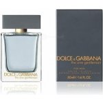 Dolce & Gabbana The One Gentleman toaletní voda pánská 50 ml – Hledejceny.cz