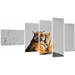 Obraz - Tygřice a její mládě, černobílá varianta, pětidílný 110x60 cm – Sleviste.cz