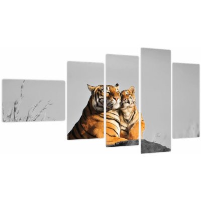 Obraz - Tygřice a její mládě, černobílá varianta, pětidílný 110x60 cm – Sleviste.cz