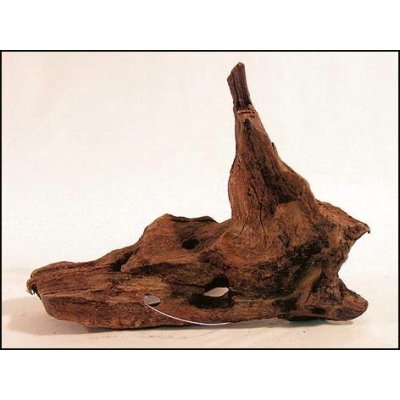 Decor Wood kořen Driftwood extra malý 19-23 cm – Hledejceny.cz