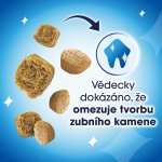 Dentalife kuřecí 40 g – Hledejceny.cz