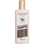 Gottlieb pudl aprikot 300 ml – HobbyKompas.cz
