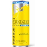 Red Bull The Summer Edition Sugarfree Sudachi Lime 250 ml – Sleviste.cz