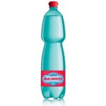 Korunní Malinovka 1,5 l – Hledejceny.cz