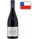 Tarapacá Merlot Gran Reserva 14% 0,75 l (holá láhev) – Hledejceny.cz