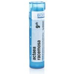 ACTAEA RACEMOSA POR 15CH GRA 1X4G – Hledejceny.cz