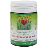 TCM Herbs Spadnutí kamene ze srdce 100 tablet – Hledejceny.cz