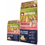 Ontario Puppy & Junior Large Chicken & Potatoes & Herbs 12 kg – Sleviste.cz