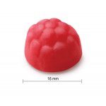 Jamieson Probiotic Gummies želatinové pastilky 45 ks – Hledejceny.cz