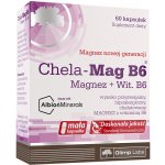 Olimp Labs Olimp Chela-Mag B6 Forte 60 kapslí – Hledejceny.cz