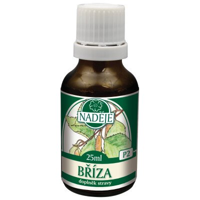 P2 Bříza 25 ml – Hledejceny.cz