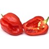 Osivo a semínko Piquant HABANERO ROSSO semínka chilli papriček, 12 s